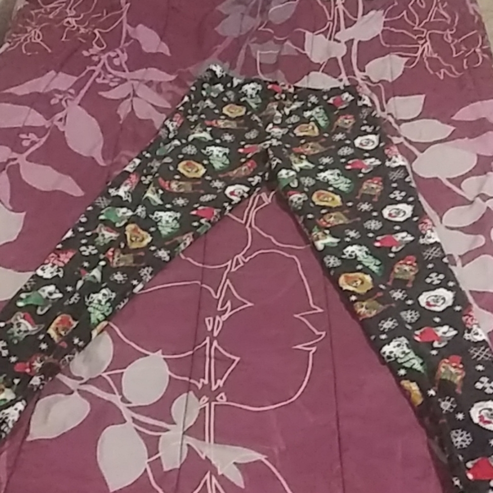 Clothes - Picture 7 of 8